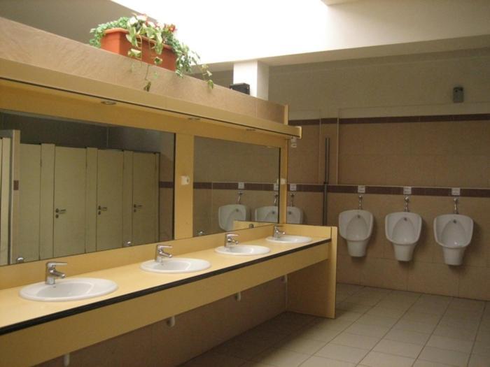 Hotel Camping Albergue Tau San José Esterno foto